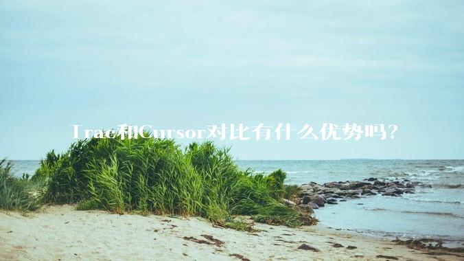 Trae和Cursor对比有什么优势吗？
