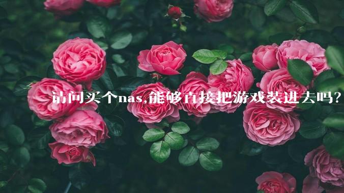 请问买个nas,能够直接把游戏装进去吗？